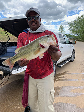 Kerr Lake Fish